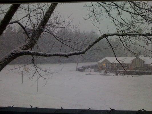 You can barely see the basketball court, there's the nice huge field for playing in!