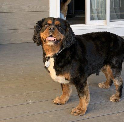 Kingston looking so handsome after his groom