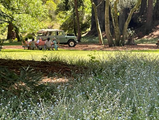 Meadow at Lester Estate Wines