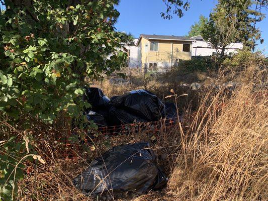 Abandoned and trashed lot with needles and homeless encampment owned by Thomas James Homes