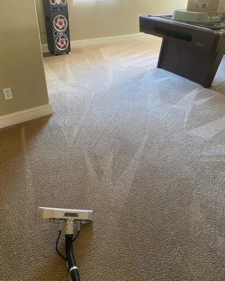 Carpet cleaning extraction