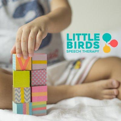 |  Little Birds Speech Therapy  |   "Where kids take flight!