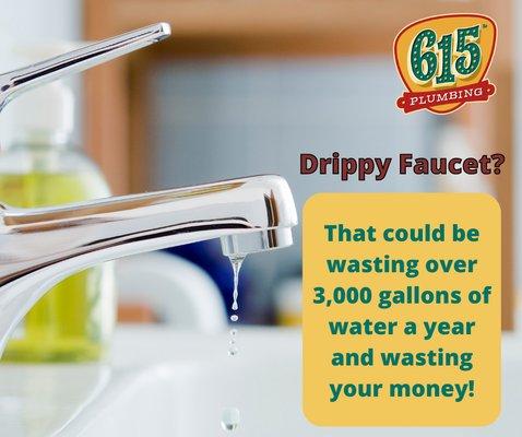 That drippy faucet could be wasting more water than you think, costing you money! Give 615 Plumbing a jingle for all your plumbing needs.