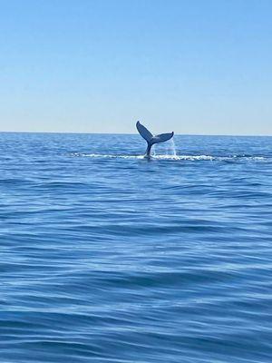 SoCal Charters