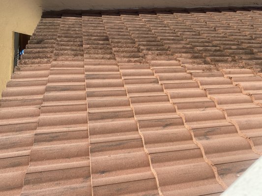 Barrel tile Roof cleaning demo, west palm beach fl