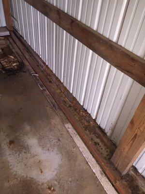 Termite damage