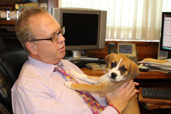 We care about getting pets in homes. This pup from Wayside Waifs.