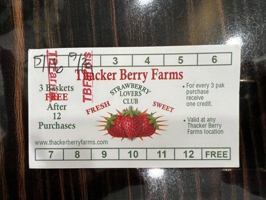 Thacker Berry Farms - Atlantic