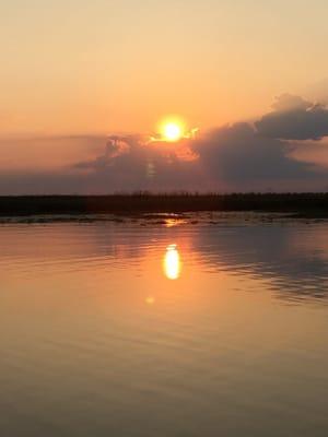 A beautiful sunset over the swamp.