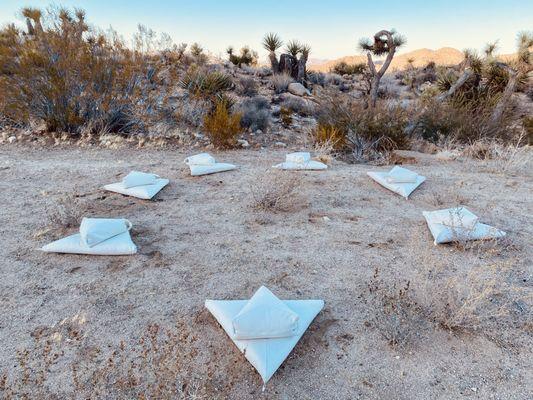 Meditation Circle at Sunrise & Sunset