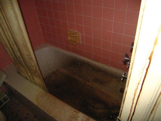 The shower i threw up immidiately:(