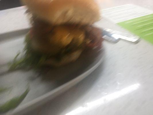 Sorry Our Burger.    Fuzzy picture great taste with real bacon