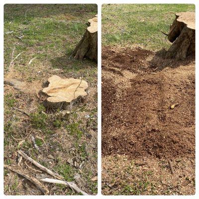 Stump Grinding today off Shopton Road in Charlotte.
Thanks Mr. Trey! 3-1-23