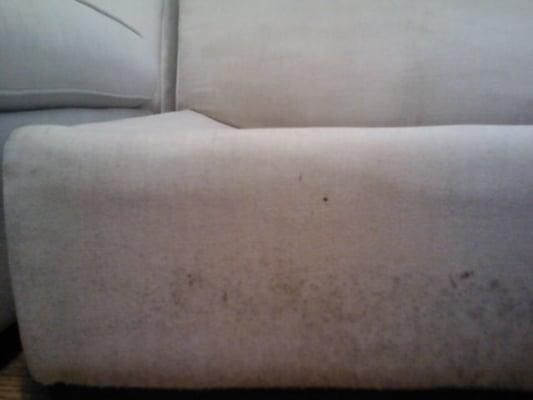 mold along the bottom of the sofa