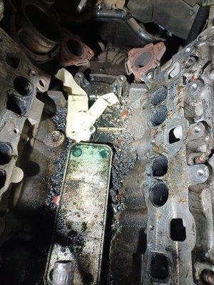 Mercedes-benz sprinter 2500 engine oil cooler leaks