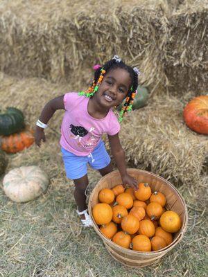 Photo set up. Her first pumpkin patch