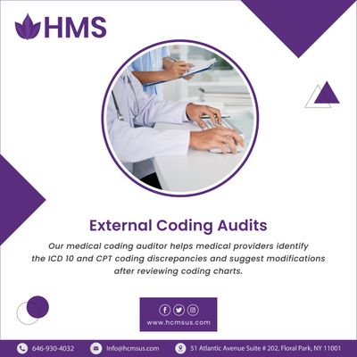 External Coding Audits