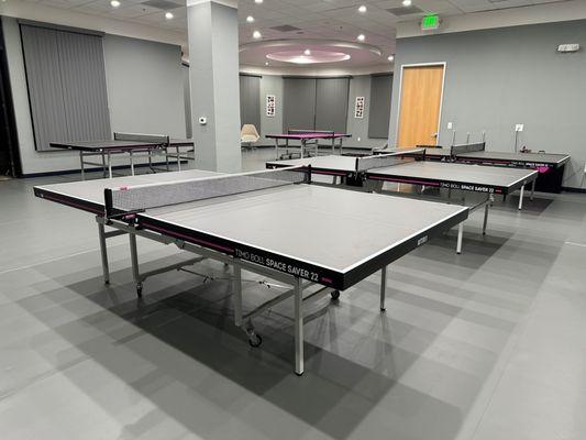 BAPPA Table Tennis