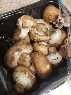 The only good mushrooms were on top oddly..