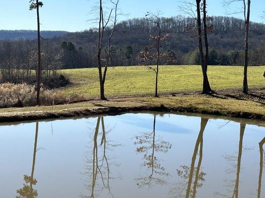 Great views of the mountains from the Foothills.