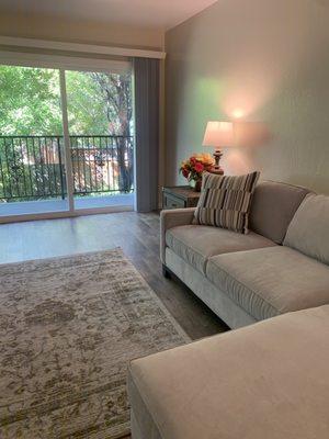 Living room, great natural light