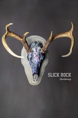 Slick Rock Taxidermy