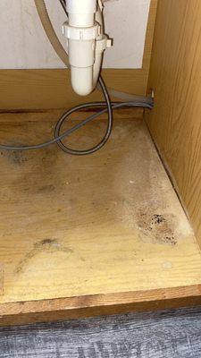 Water damage under kitchen sink