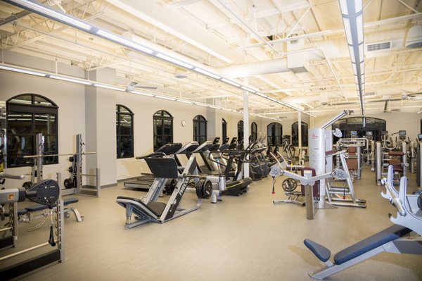 FITNESS FLOOR with innovative equipment