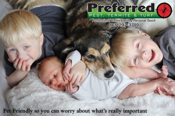 Safe Pest Control Options for the Whole Family