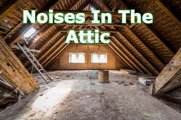 Noises in the Attic? We can Help!