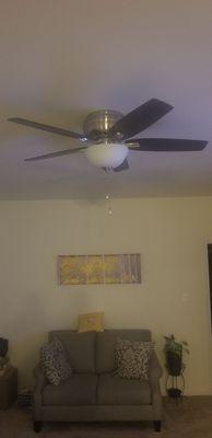 Living room ceiling fan