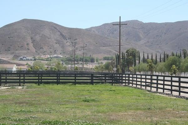 Grassy Pastures