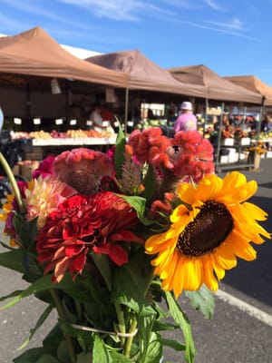 Flowers from one of the farm stands this past weekend