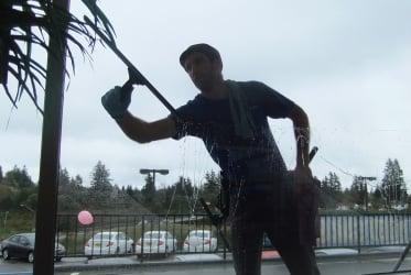 Kingston window cleaning