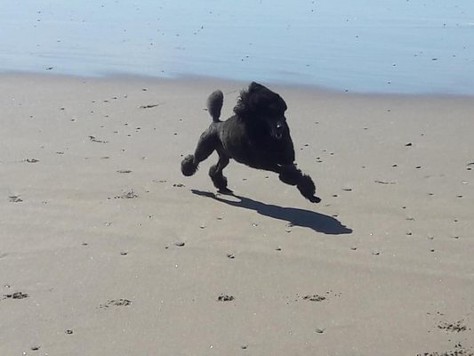 Marcus enjoying the beach.