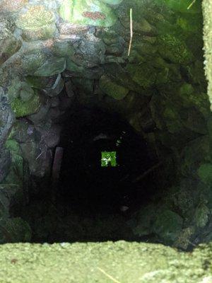 The old well. It was only a little spooky.