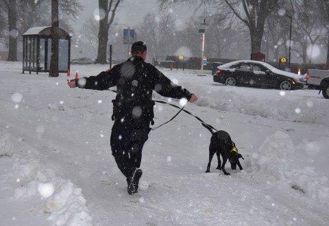 K-9 Storm-Man Tracking
  
 US Department of Veteran Affairs Police