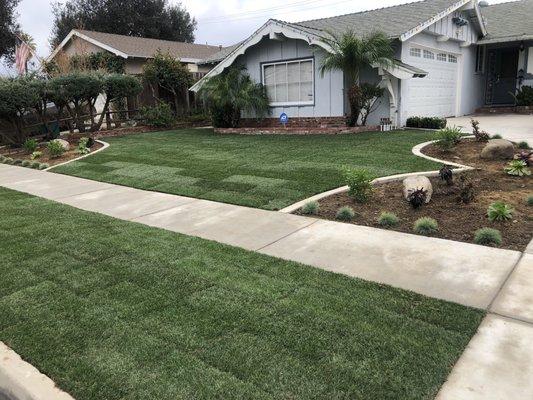 Marathon Sod and Planters