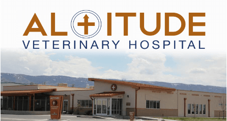 Altitude Veterinary Hospital