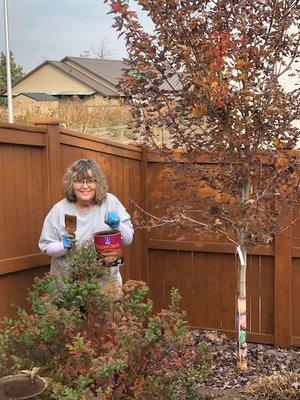 Kathy staining fence 
 10-21-23