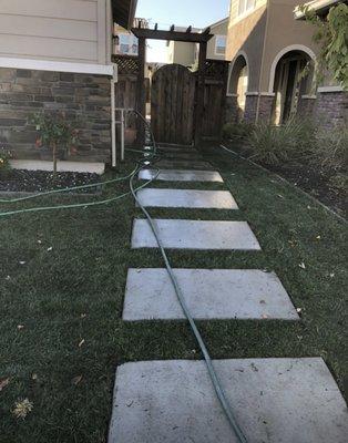 Concrete pavers sod