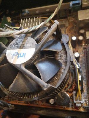 A clogged CPU fan (before I cleaned it!).