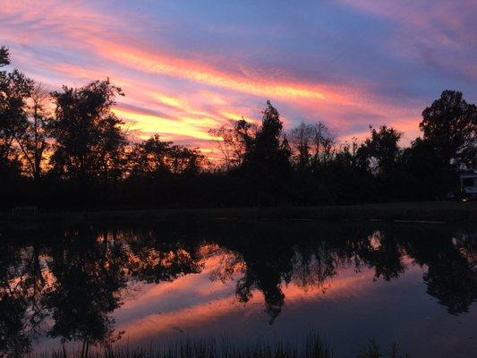 Sky this evening in the park 11/18/17