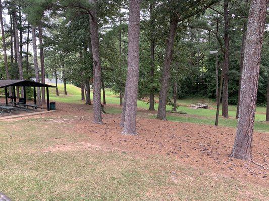 Shaded picnic and grassy area