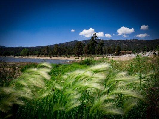 Big Bear lake