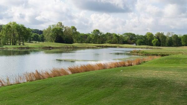 Hole #7 - 345 yd Par 4