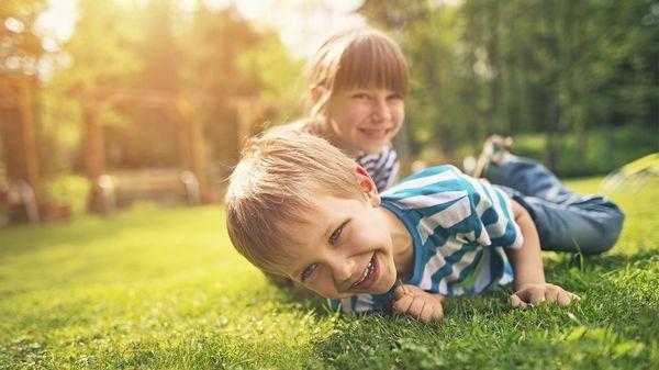 Lawn Doctor of the Roanoke Valley