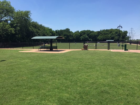 Lots of space (and some needed shade and water in a hot day!) for small and large dogs to run and play :)