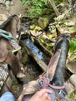 Water break!