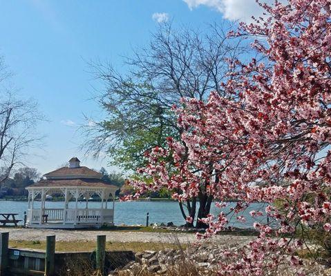 Enjoy great picnic facilities at Atlantic Marinas Ferry Point